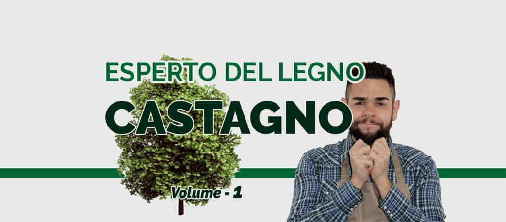 Esperto del legno - castagno