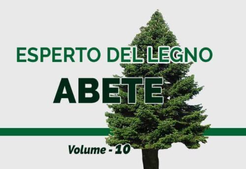 immagine della rubrica di Fraiser Tools "esperto del legno abete" volume 10
