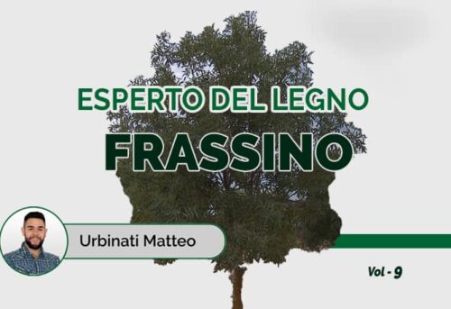 immagine della rubrica di Fraiser Tools "esperto del legno frassino"