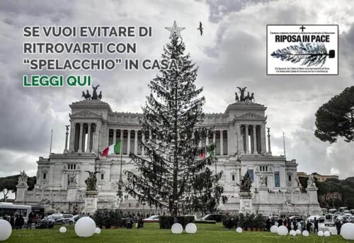 Affidati agli specialisti del legno se non vuoi ritrovarti come con spelacchio a Roma