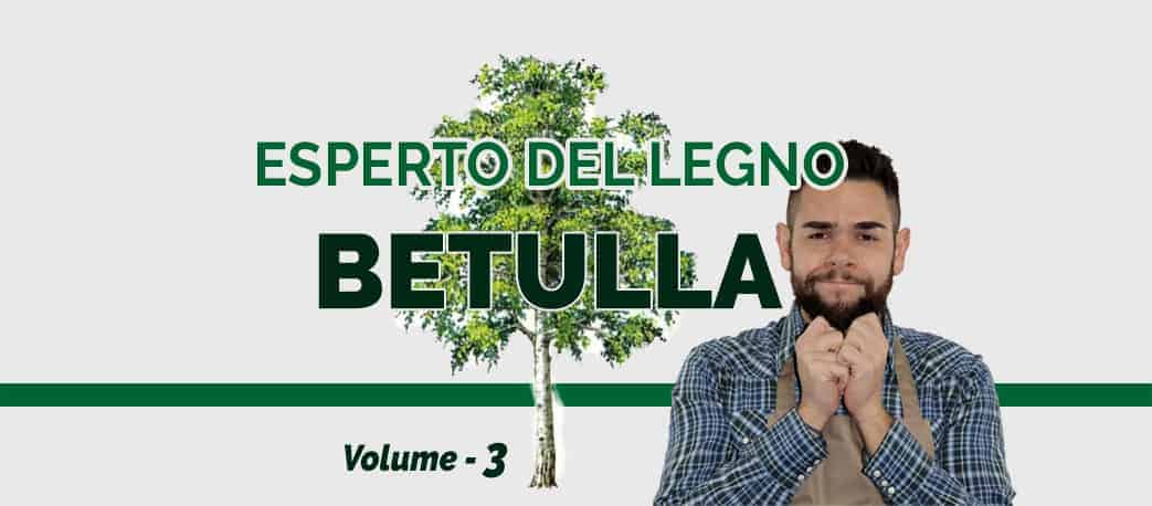 Legno di Betulla - Esperto del legno